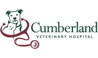 Cumberland Veterinary Hospital-HeaderLogo